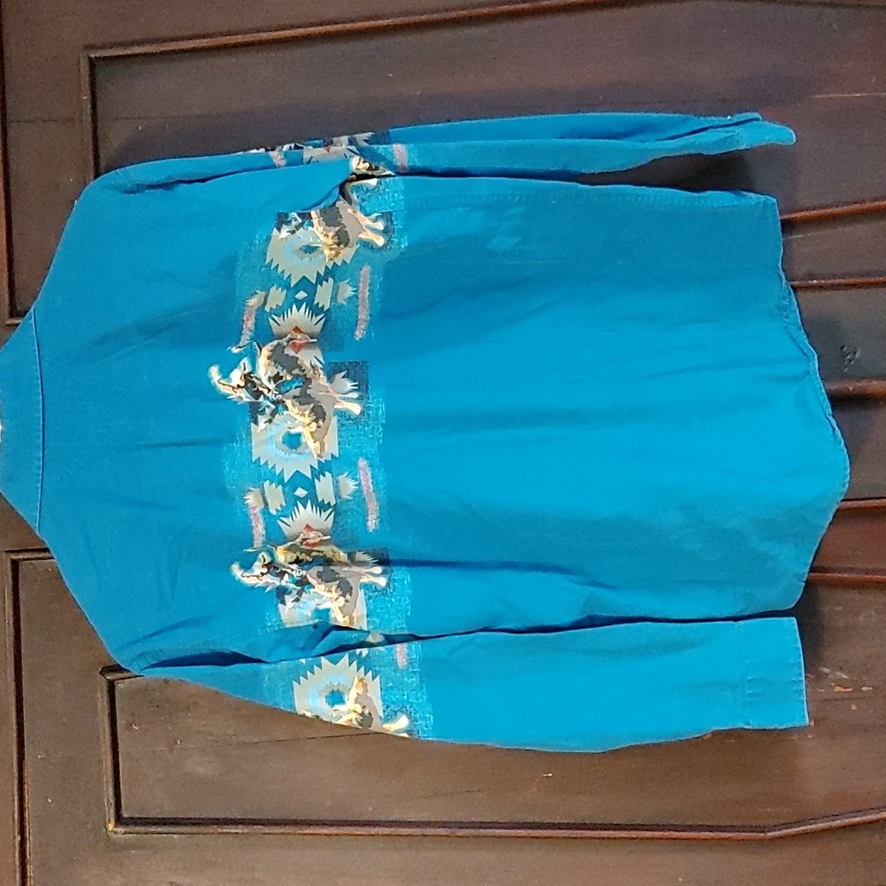 Panhandle Slim pearl snap size youth XL blue bull rider